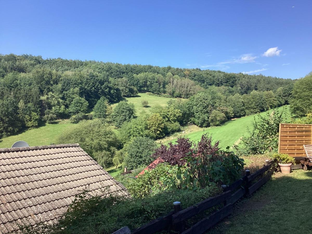 Chalet Spessart Dammbach Exterior foto